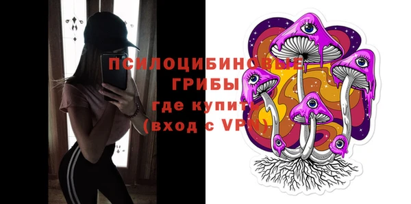 спиды Аркадак